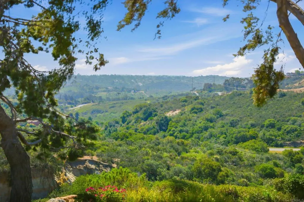 Additional image 73 of 134 S Jayton Lane, Encinitas, CA 92024