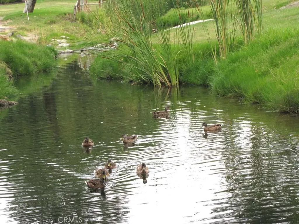 Additional image 33 of 859 Ronda Mendoza Unit D, Laguna Woods, CA 92637