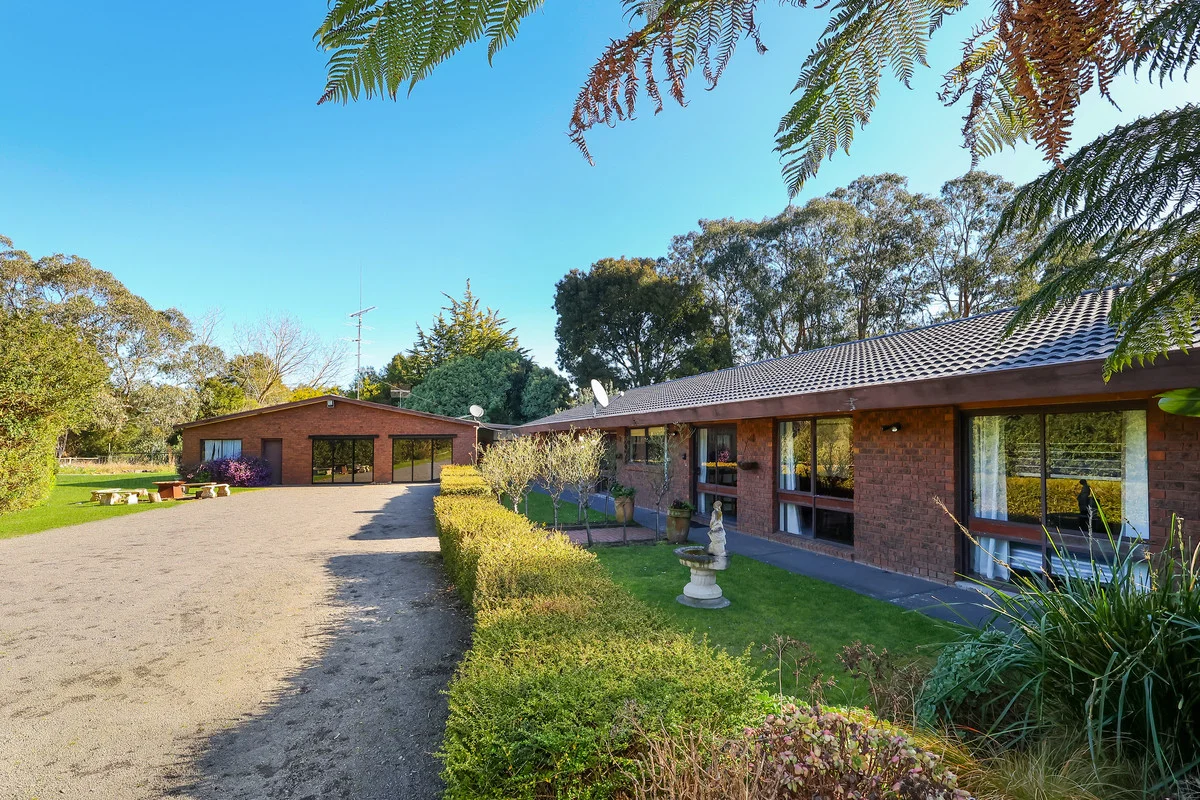 Additional image 29 of 169 Timboon - Curdievale Road, Timboon VIC 3268