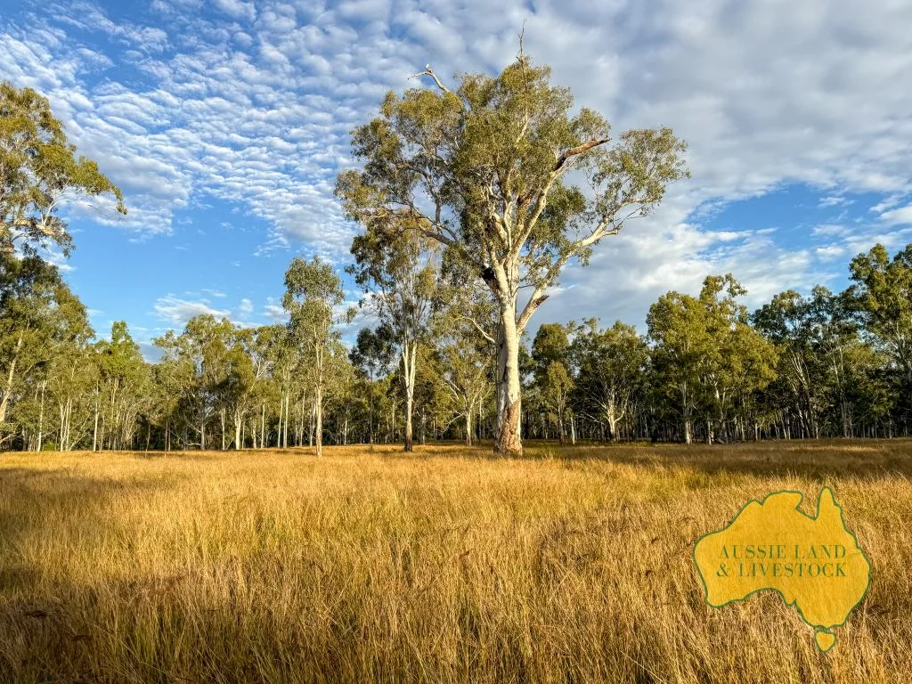 Additional image 60 of 8 SCREENING PLANT ROAD, Cynthia QLD 4627