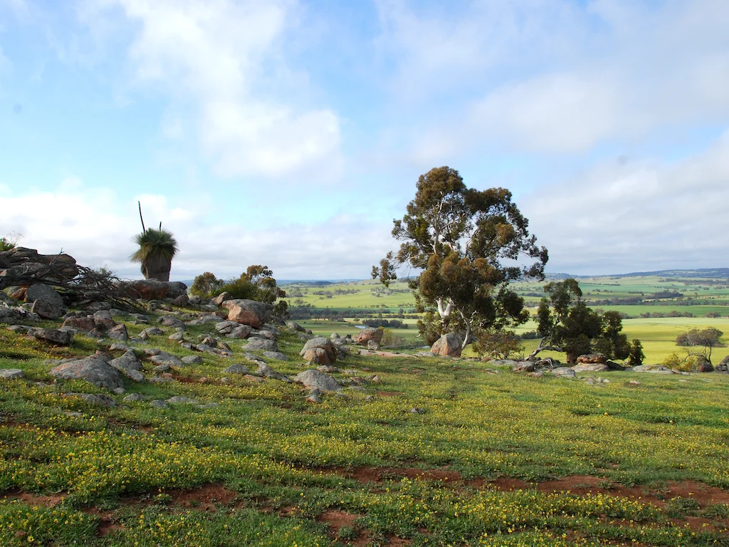 Additional image 30 of Lot 12 Young Road, Gwambygine WA 6302