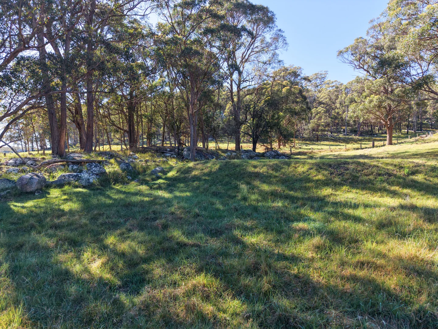 Additional image 10 of 2153 Mount Lindesay Road, Tenterfield NSW 2372