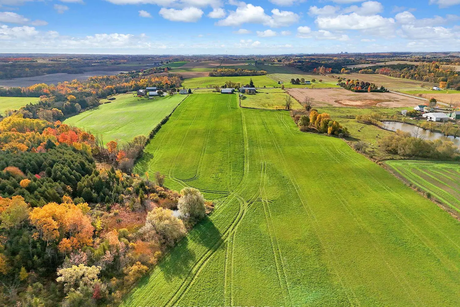 Additional image 2 of 2890 Concession Road 7