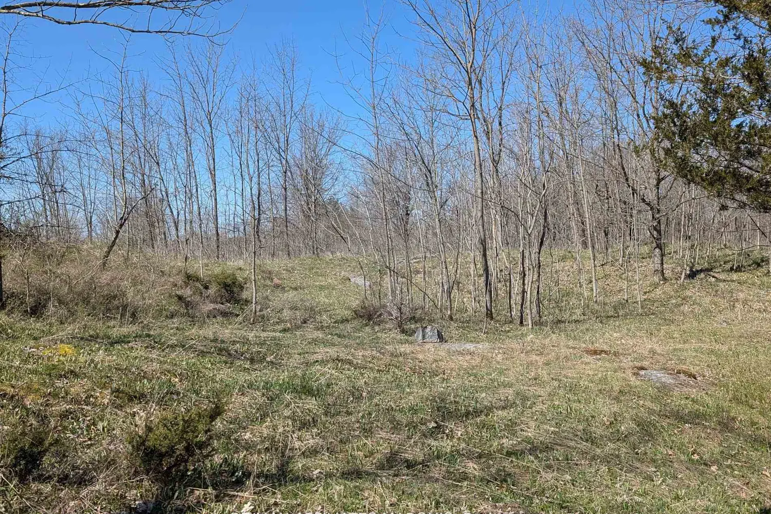 Additional image 14 of 0 Little Crosby Lake Road