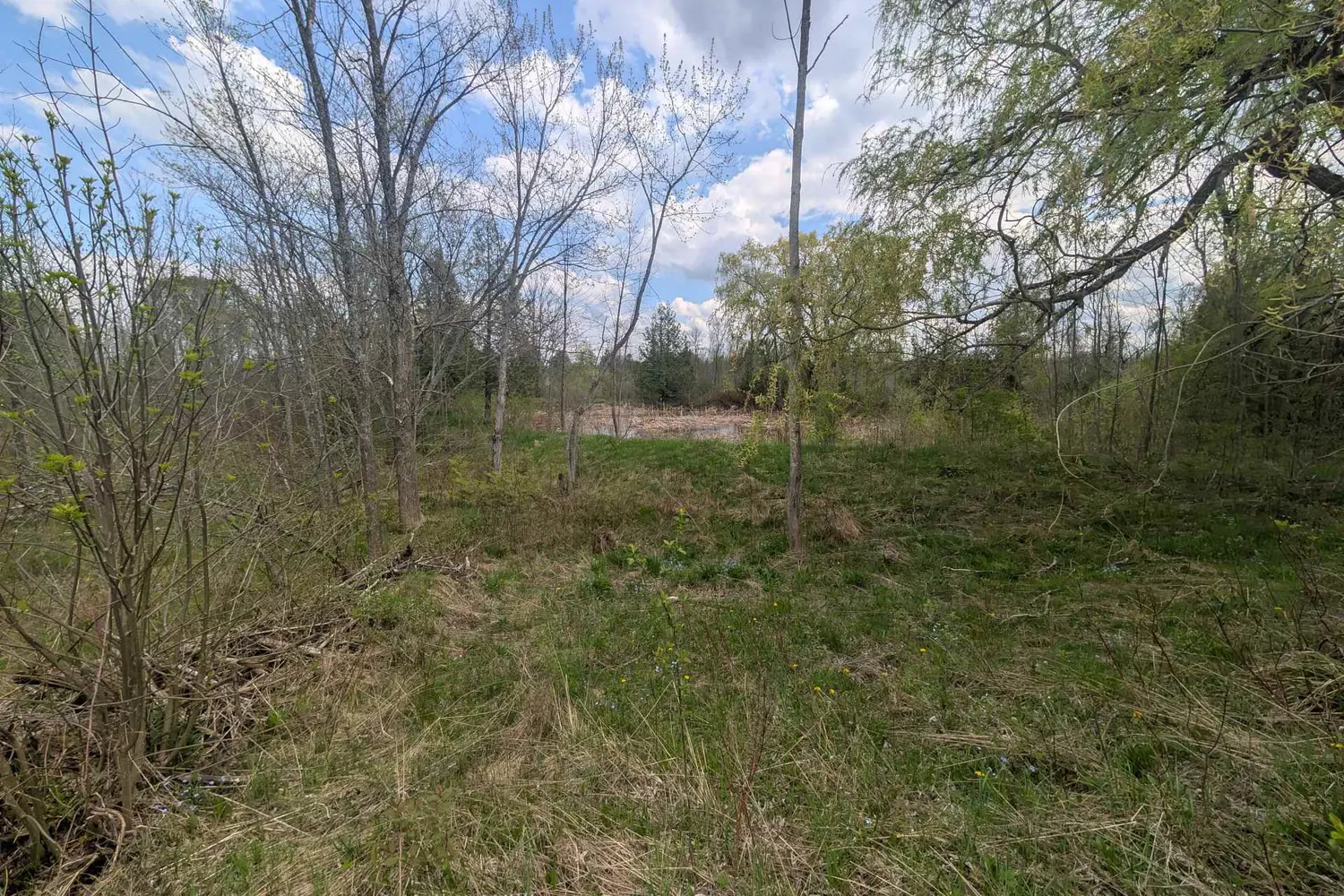 Additional image 9 of 454 Balmy Beach Road