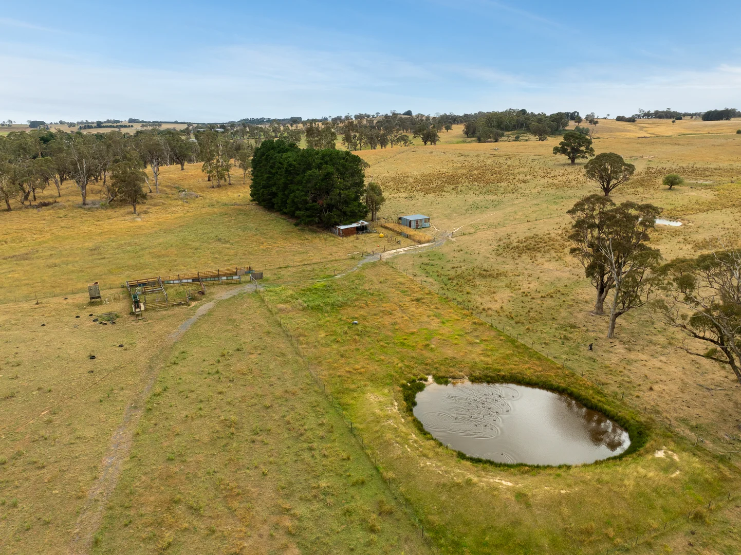 Additional image 35 of 'Top Farm' 1004 Neville-Trunkey Road, Neville NSW 2799