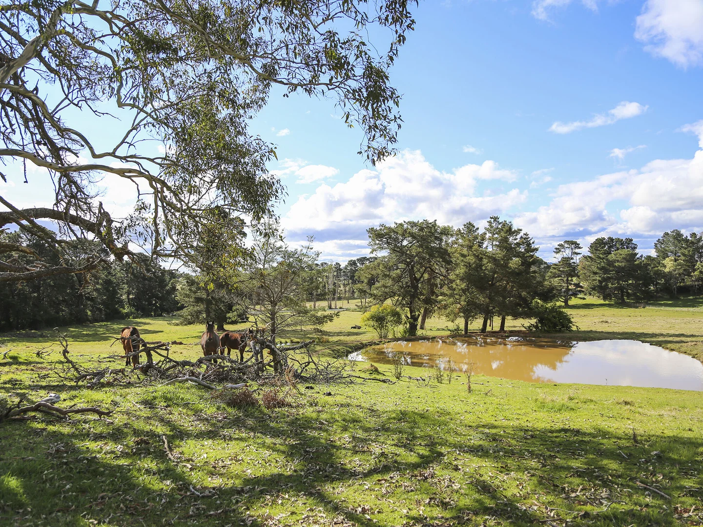 Additional image 4 of 7031 Illawarra Highway, Moss Vale NSW 2577