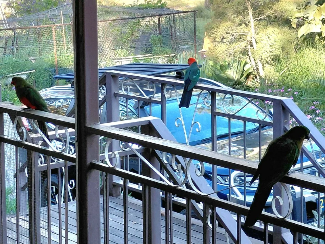 Additional image 22 of 102 Milora Road, Upper Lockyer QLD 4352