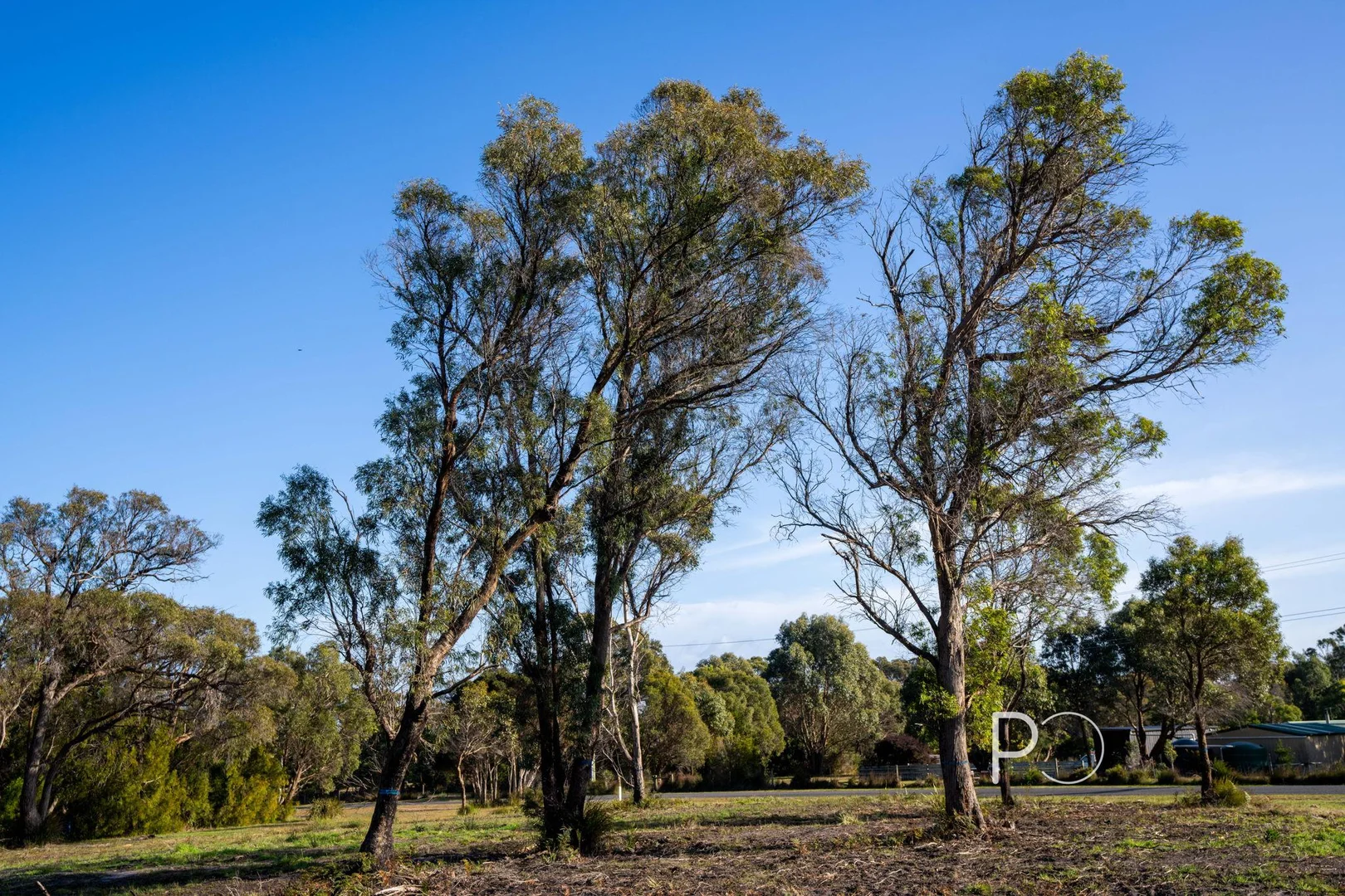 Additional image 2 of Lot 1/61 Port Hills Road, Bridport TAS 7262