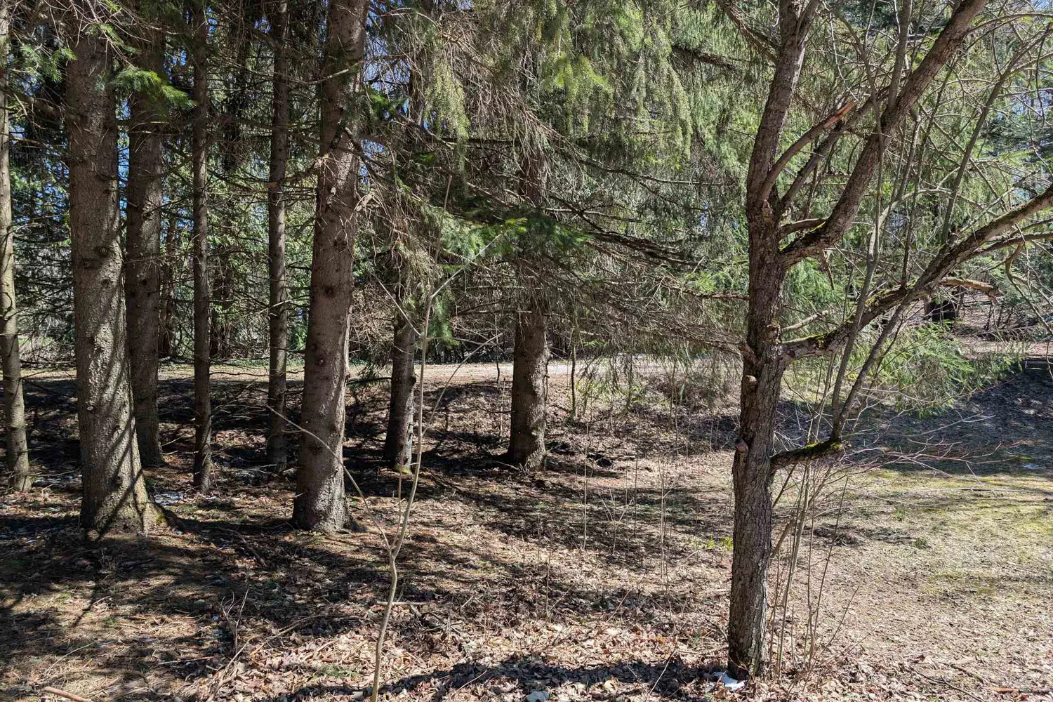 Additional image 11 of 120 Anderson Drive