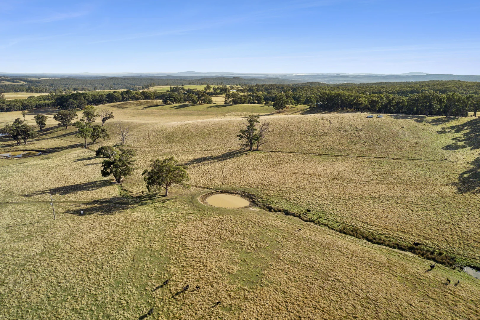 Additional image 7 of 1/104 Holcombe Road, Glenlyon VIC 3461