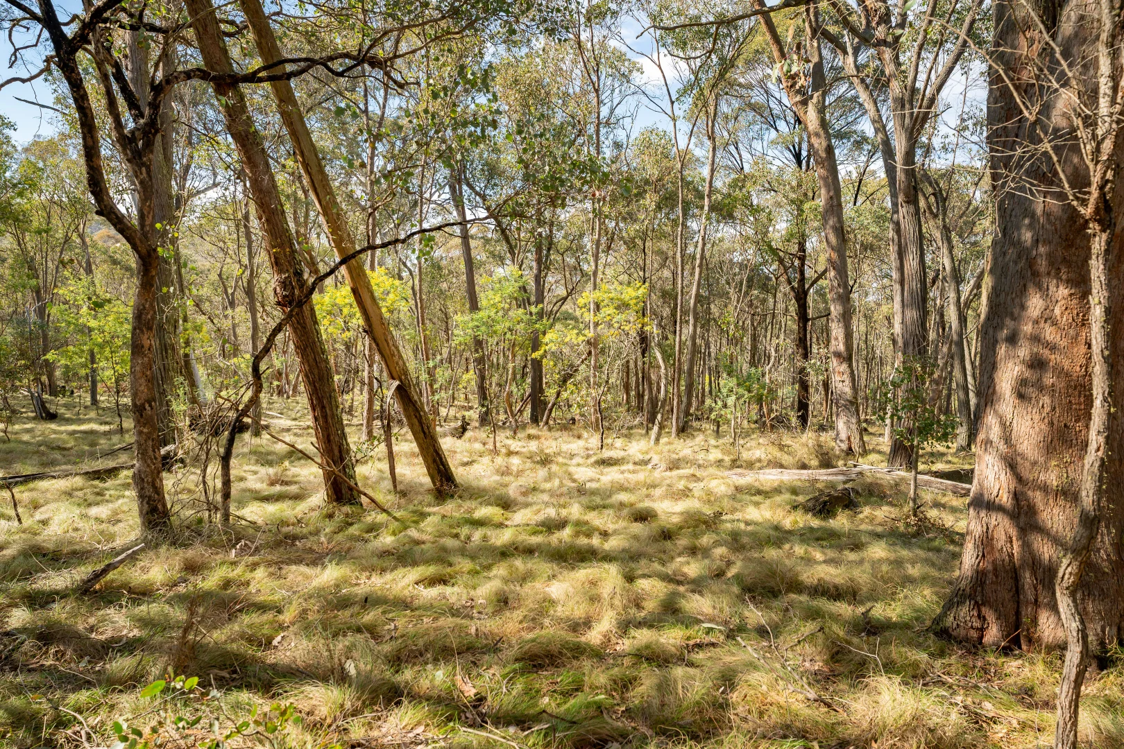 Additional image 15 of . Firebrace Track, Bullioh VIC 3700