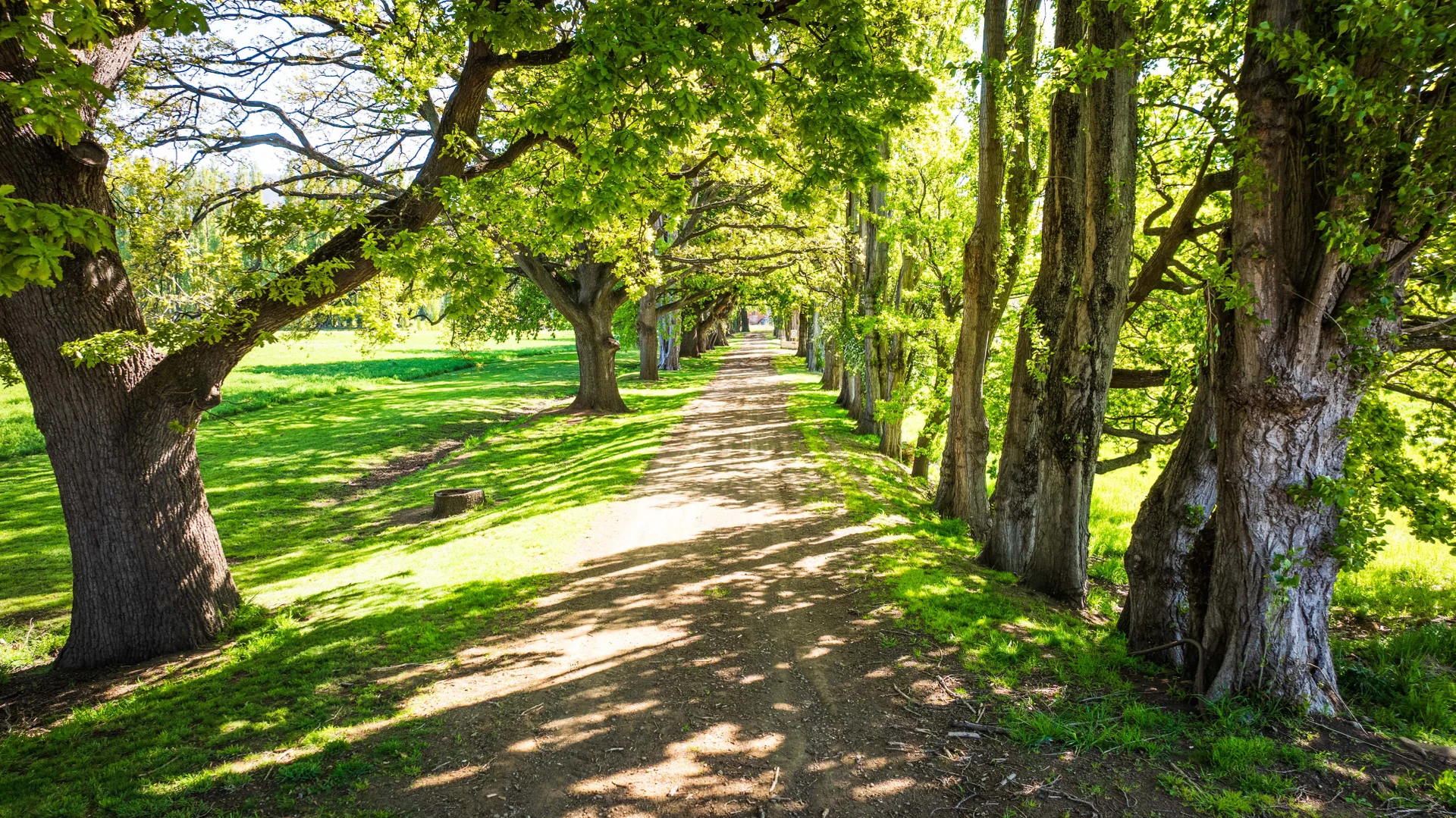 Additional image 4 of 759 Glenora Road, Plenty TAS 7140