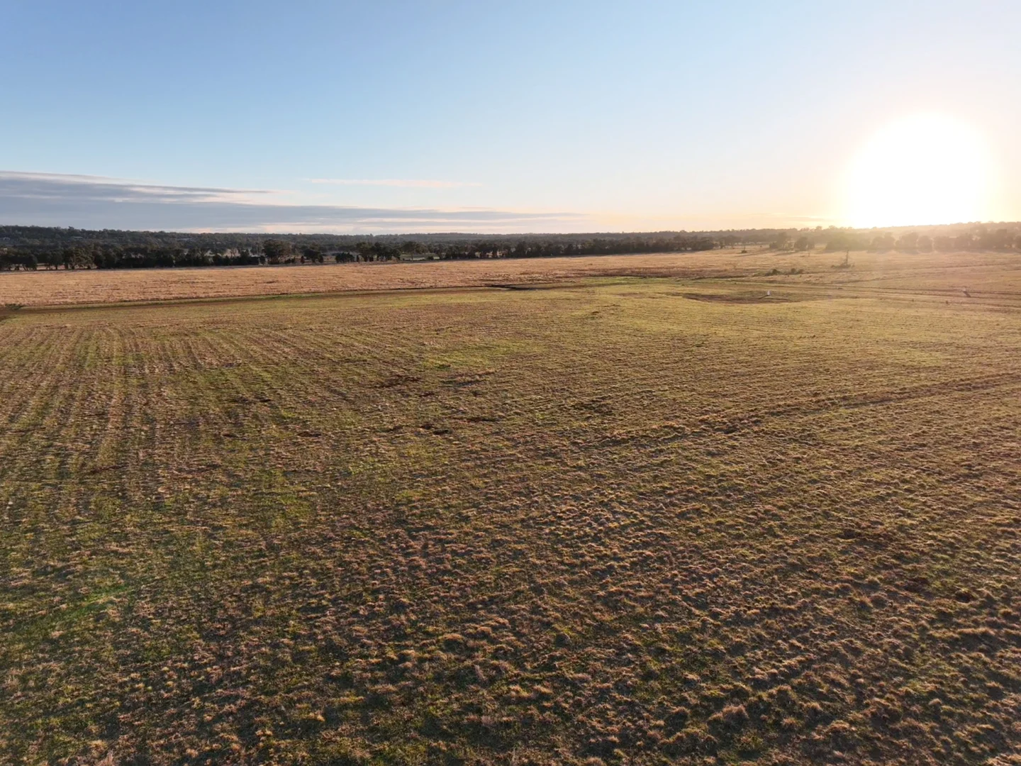 Additional image 13 of Daisy Hill Estate, Eulomogo Road, Dubbo NSW 2830