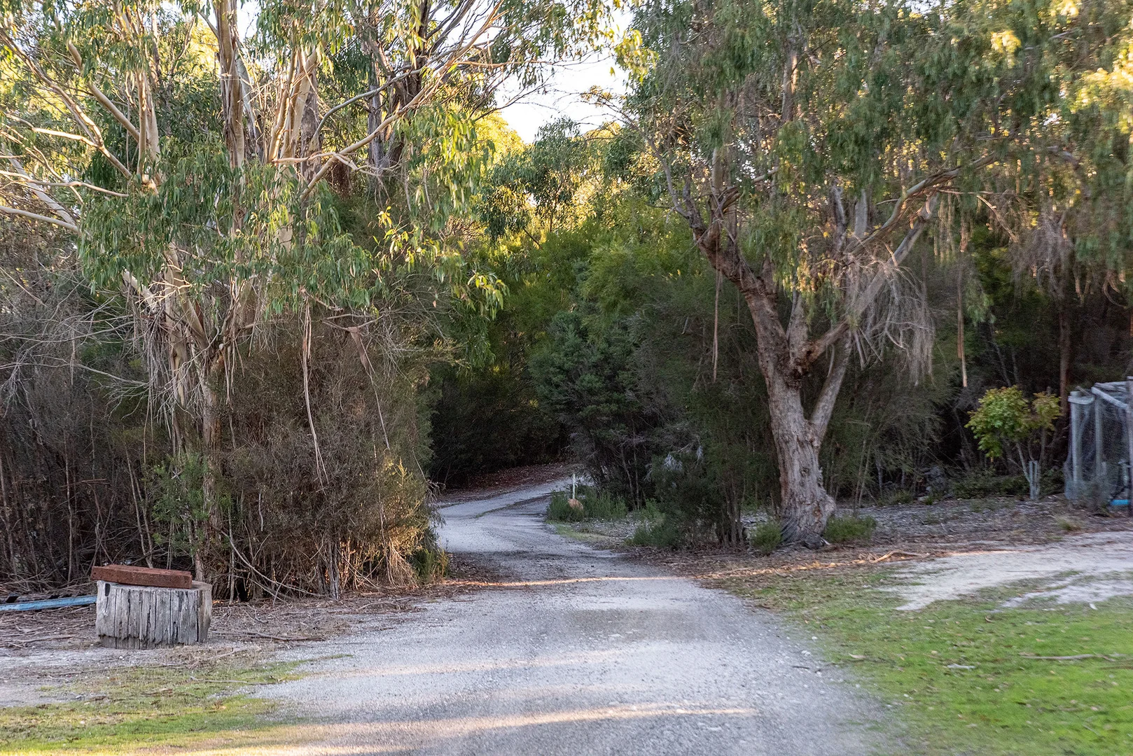 Additional image 16 of 369 Memana Road, Whitemark TAS 7255