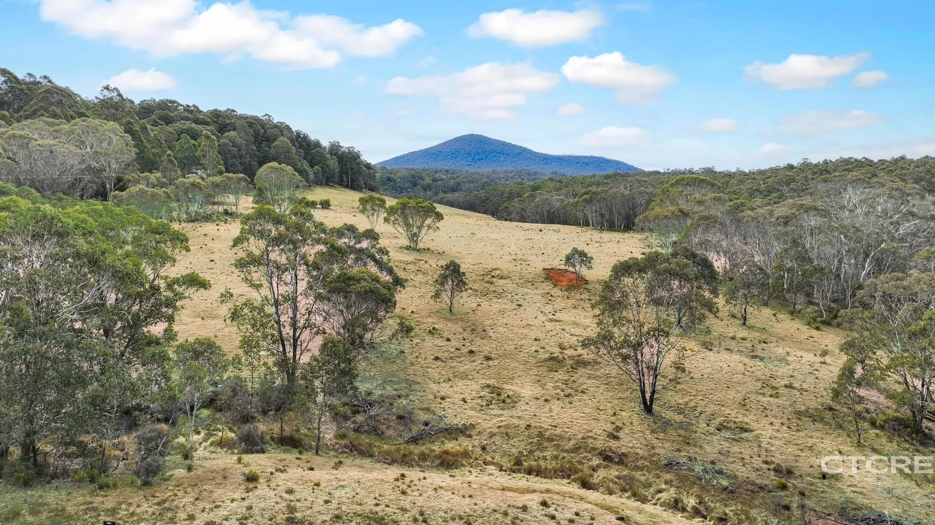 Additional image 15 of 1695 Bendoc-Orbost Road, Bendoc VIC 3888