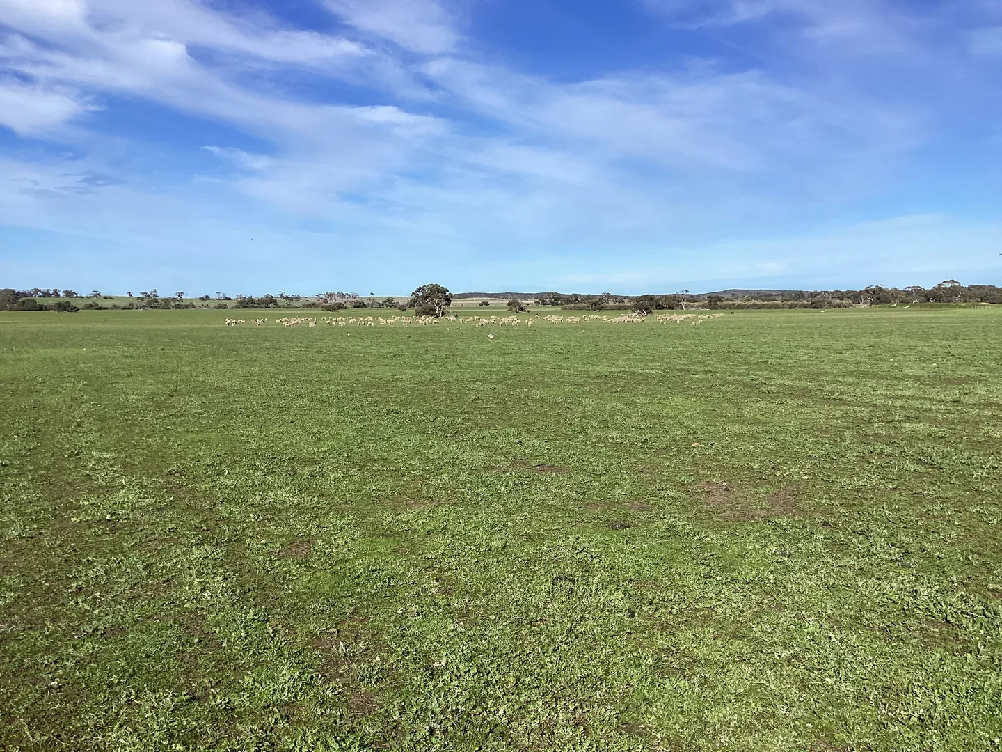 Additional image 13 of Lot 101 Schaefer Road, Seddon SA 5223