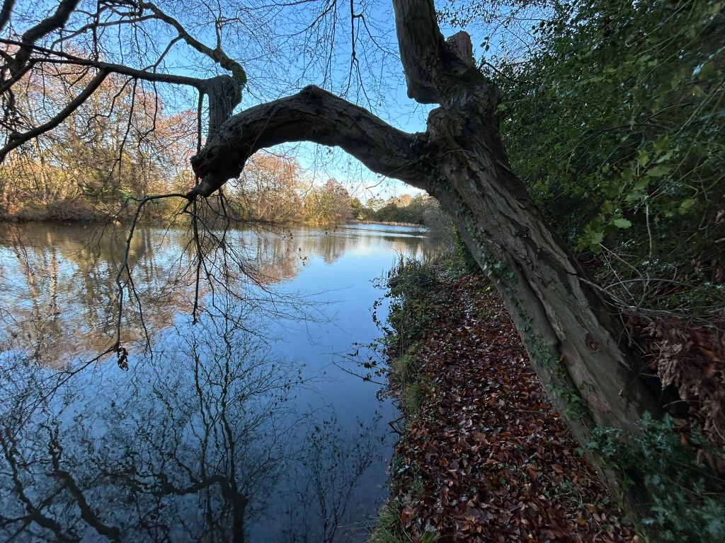 Additional image 3 of Land to rentHartlebury, Kidderminster DY11