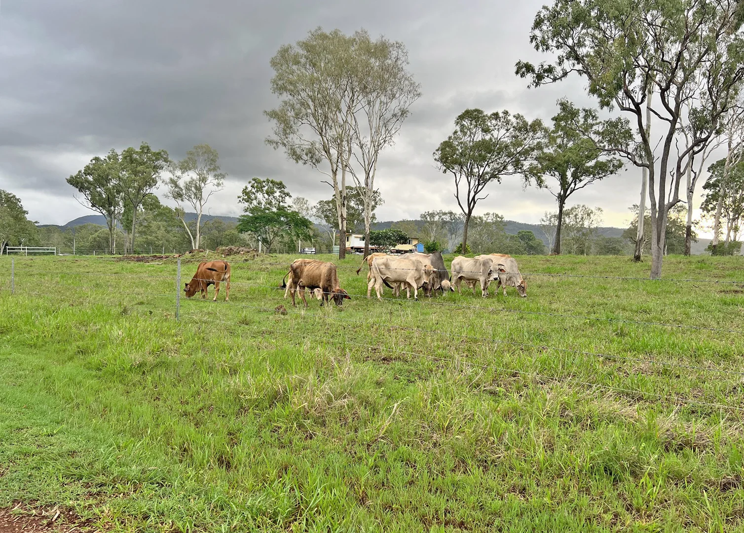 Additional image 3 of Walkamin QLD 4872