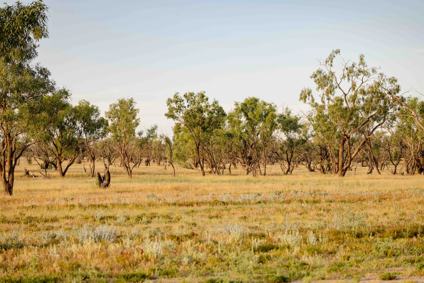 Additional image 12 of Durham QLD 4492