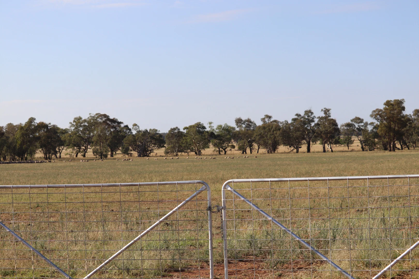 Additional image 33 of 655 Boorr Hill Road, Parkes NSW 2870