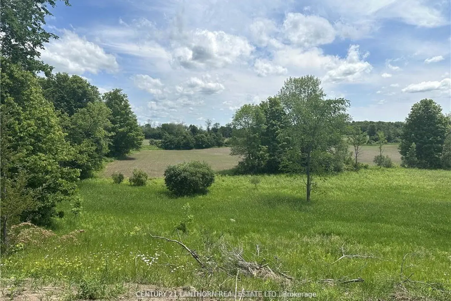 Additional image 14 of 0 Hwy 62