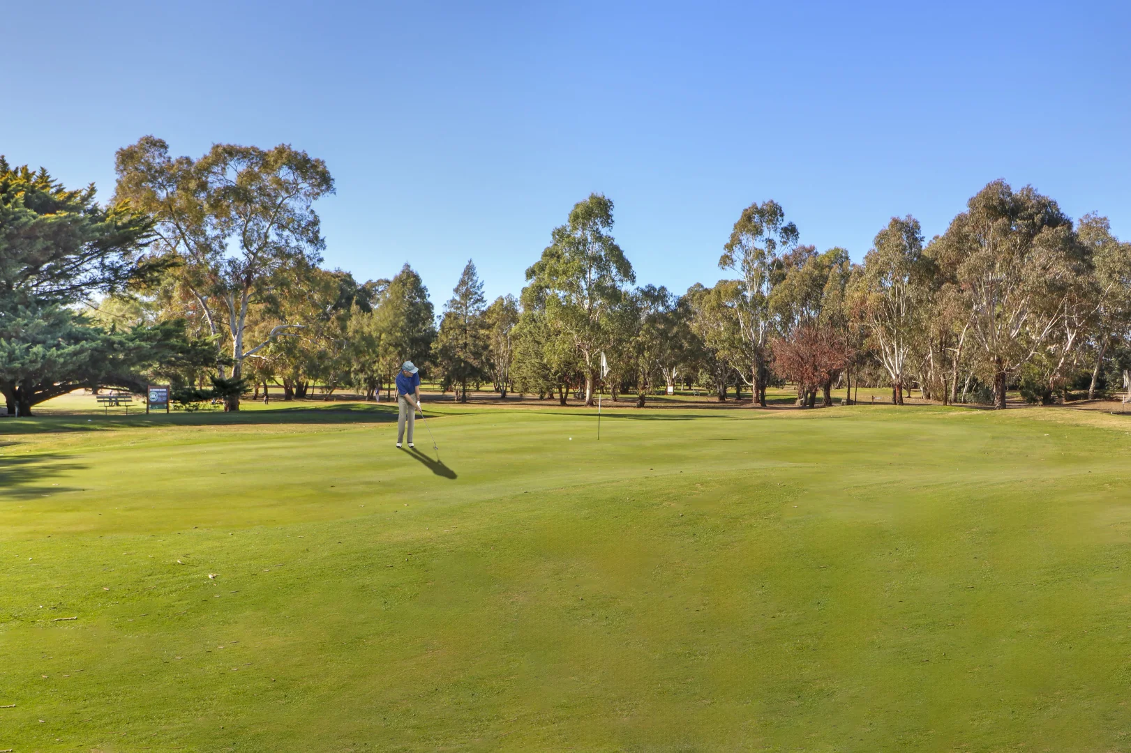 Additional image 5 of 109 Malcolm Street, Mansfield VIC 3722