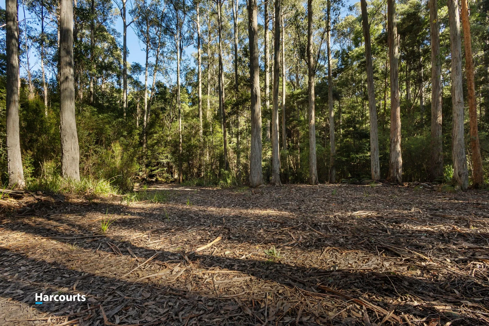Additional image 16 of 170 Cockle Creek Road, Recherche TAS 7109