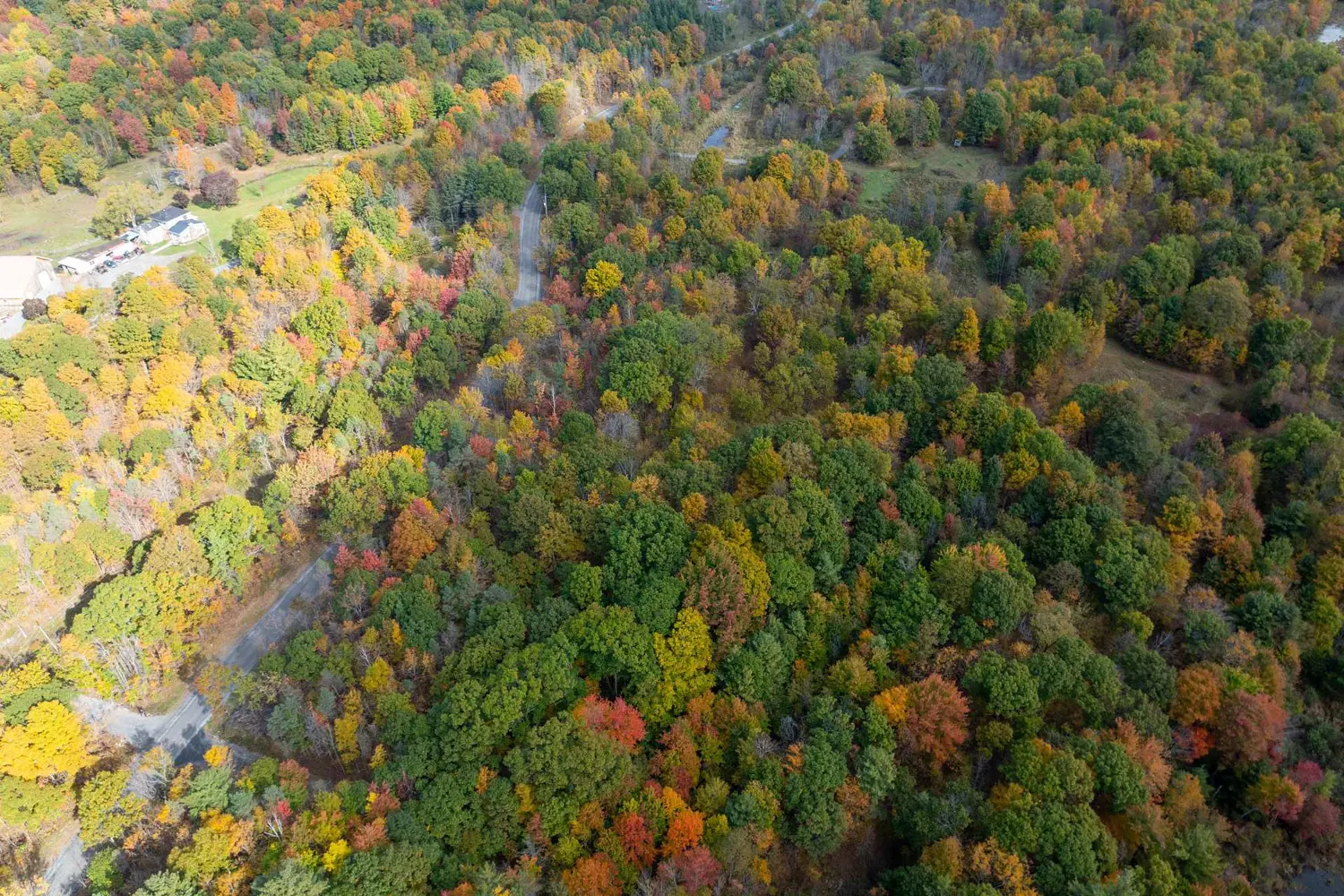 Additional image 19 of Pt Lts 12 & 13 Devil Lake Road