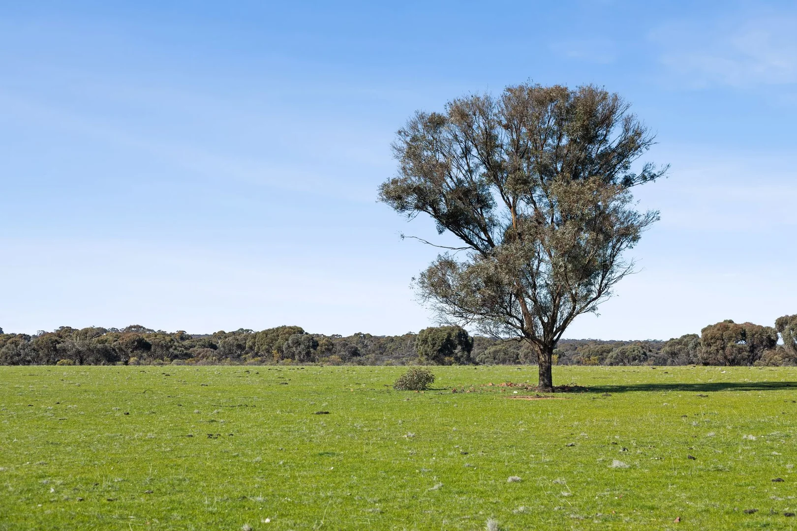 Additional image 5 of Lot 1/753 Clays Road, Bagshot North VIC 3551