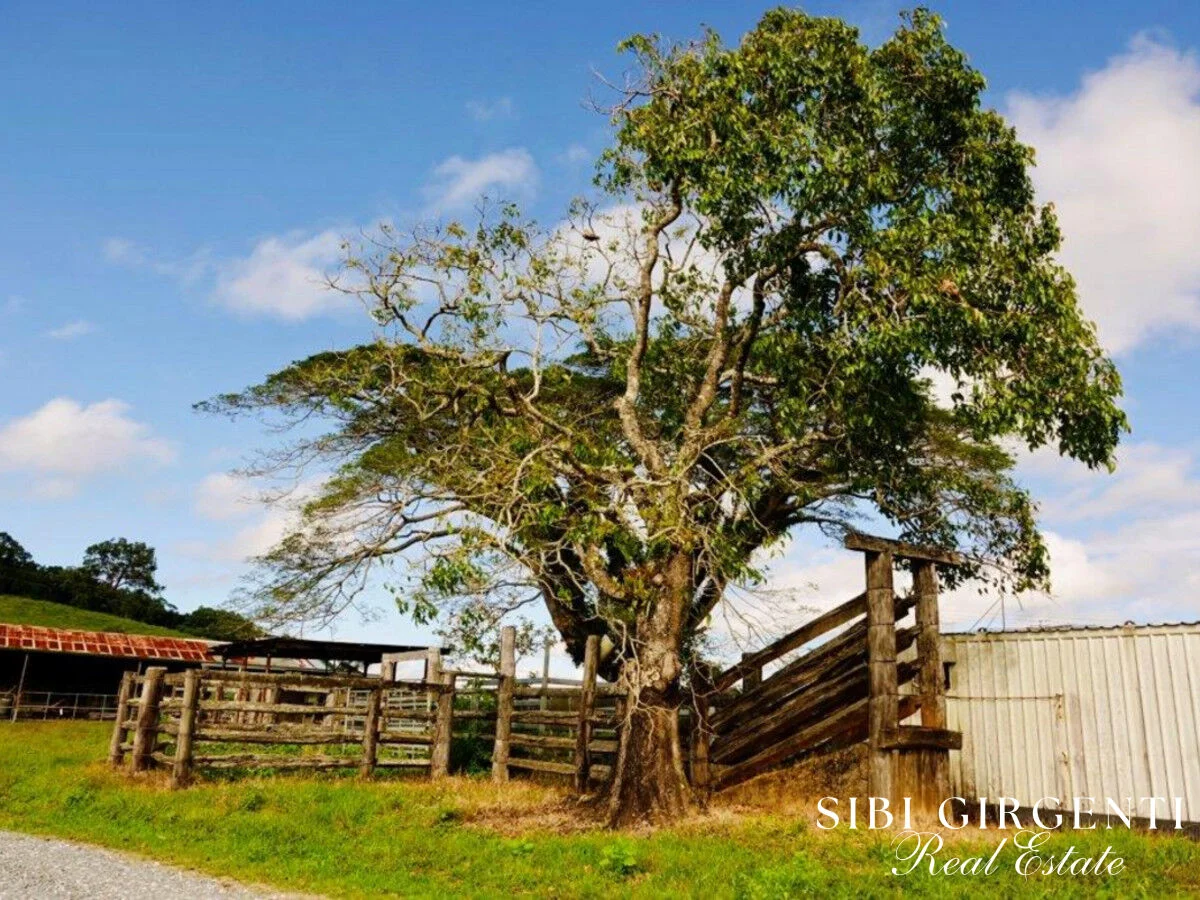 Additional image 7 of 1297 Mt Molloy Street, Mossman QLD 4873