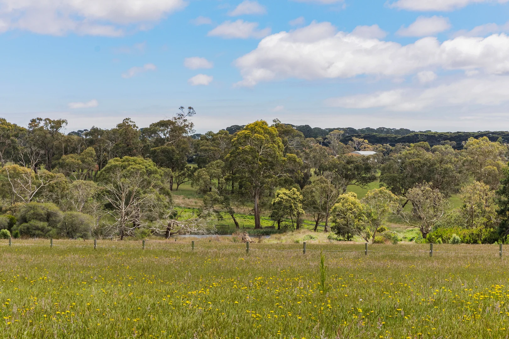 Additional image 5 of 8 Wonderland Avenue, Tuerong VIC 3915