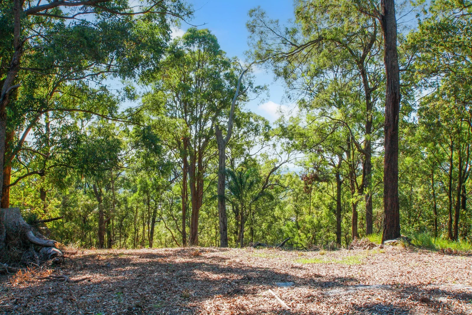Additional image 10 of 94 Holyrood Road, Maudsland QLD 4210
