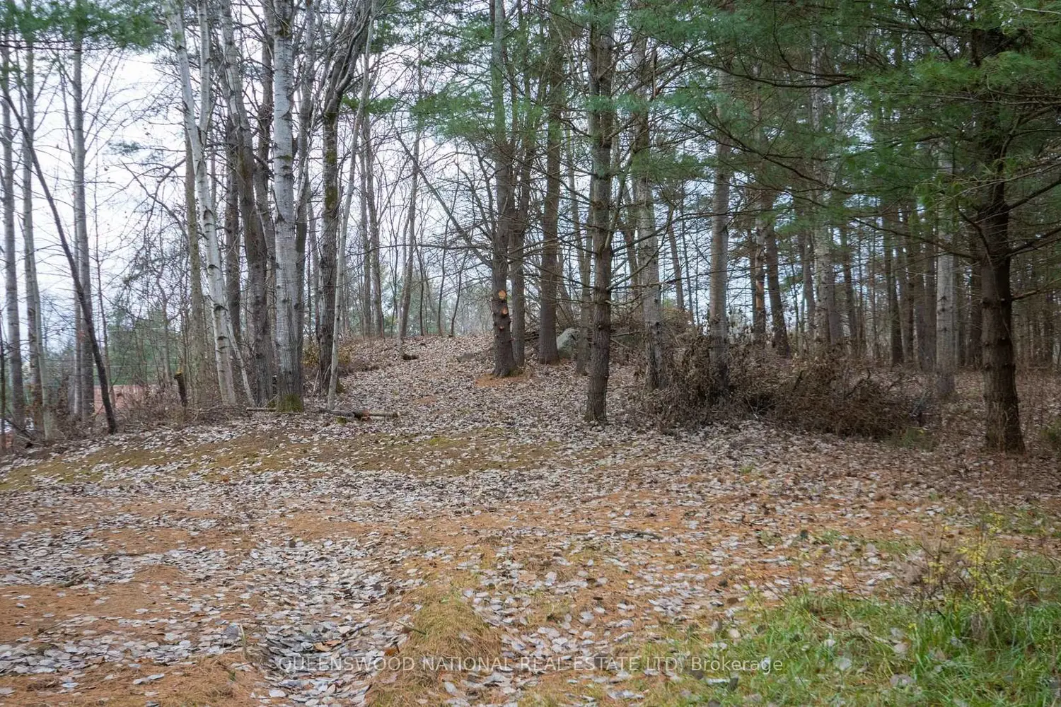 Additional image 4 of 12894 Highway 60 Route