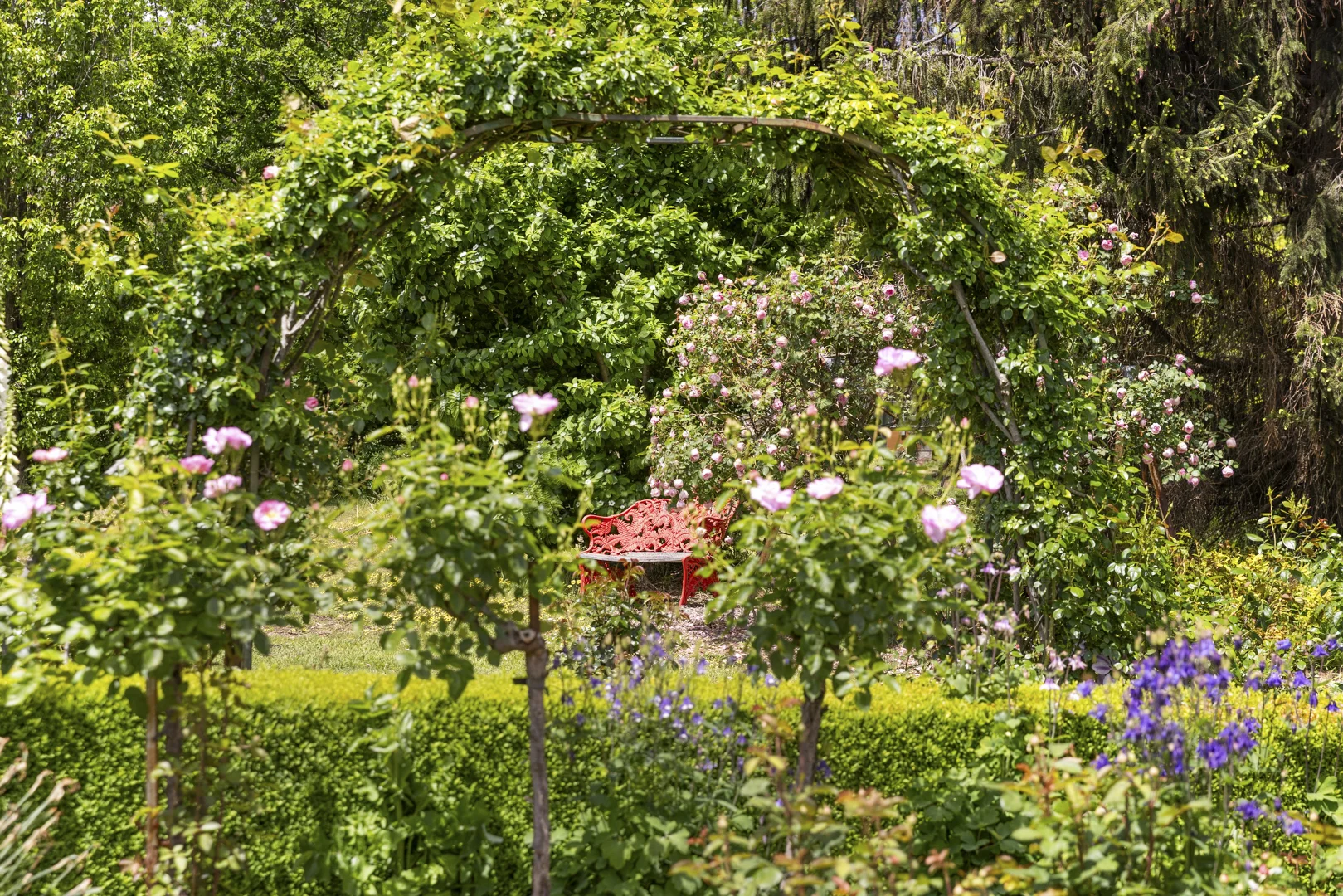 Additional image 3 of 550 Mcdonalds Road, Clonbinane VIC 3658