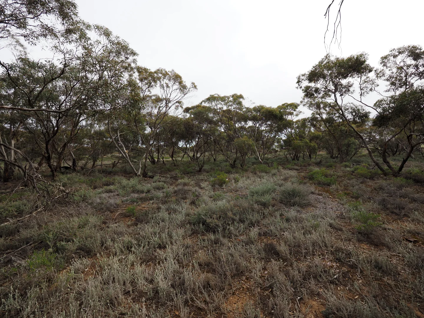 Additional image 18 of Lots 1-6, Towns Street, Chillingollah VIC 3585