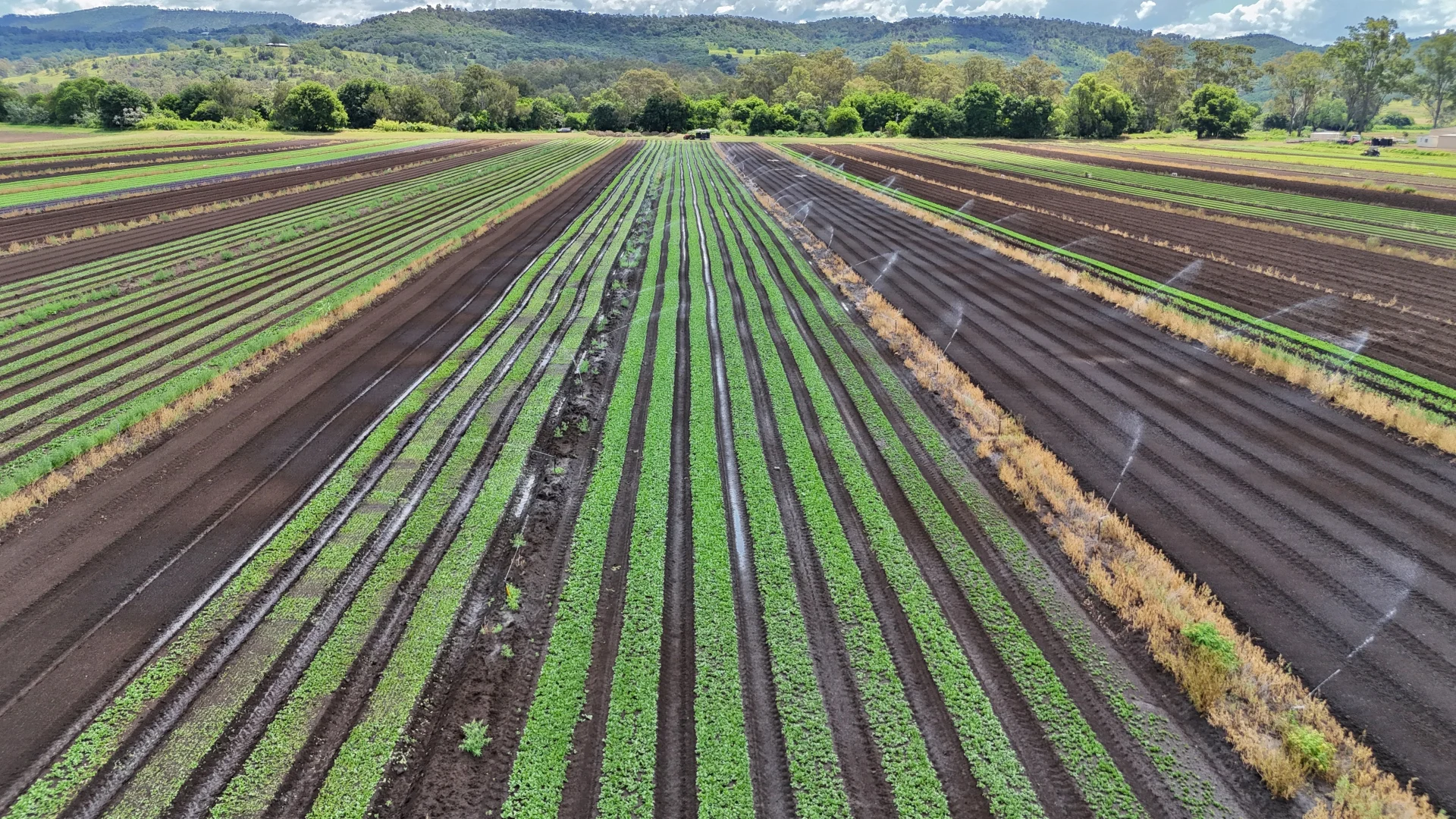 Additional image 23 of Mulgowie QLD 4341