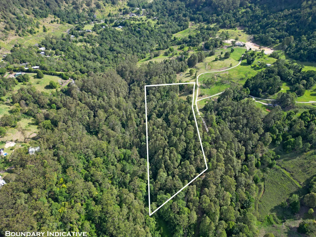 Additional image 12 of 22 Petsch Creek Road, Tallebudgera Valley QLD 4228