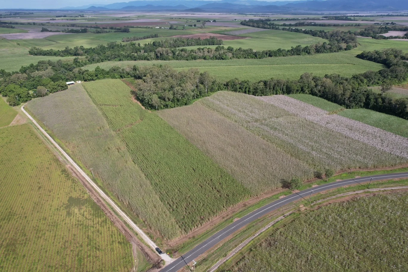Additional image 30 of Lannercost Extension Rd, Lannercost QLD 4850