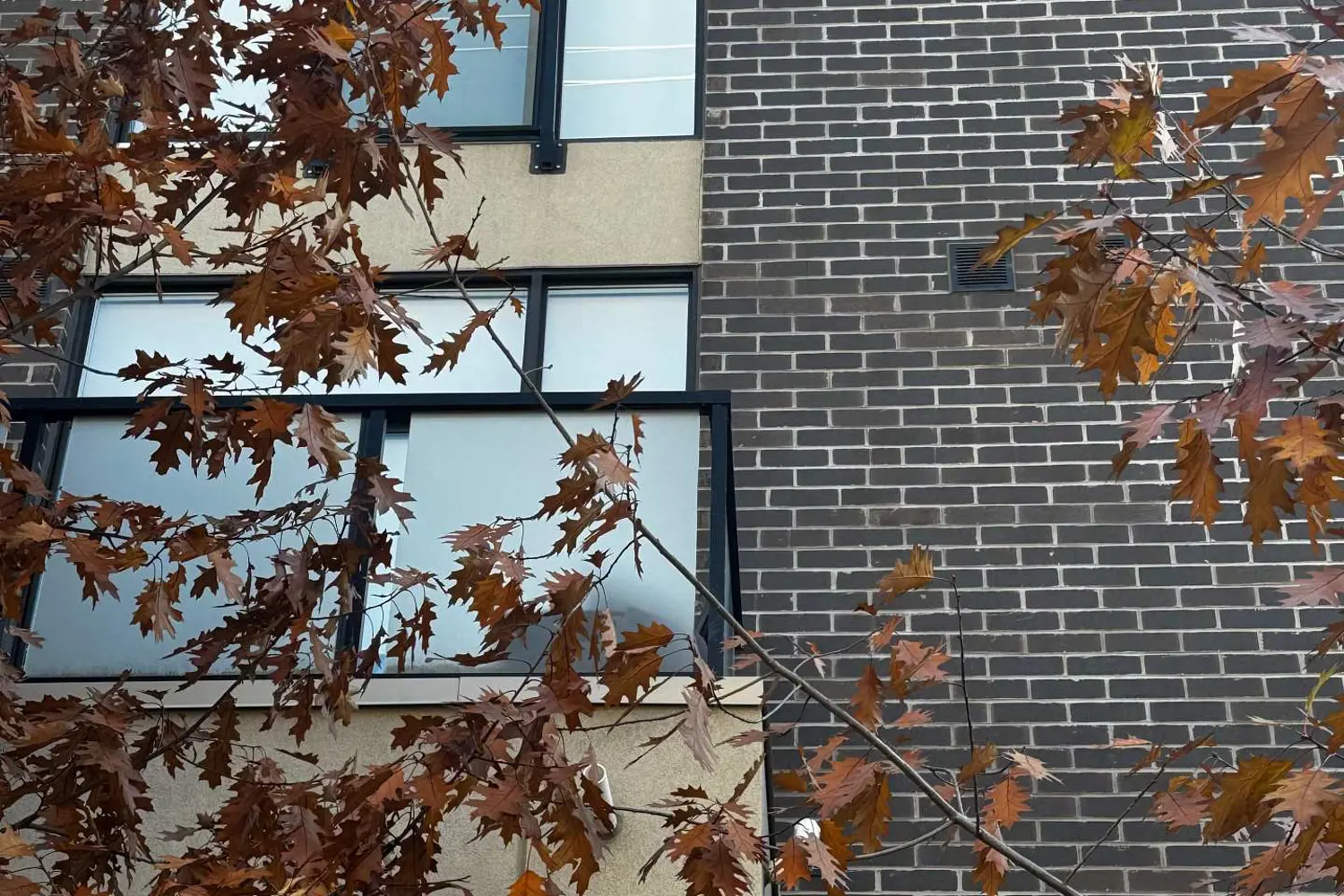 Additional image 10 of 1321 Gerrard Street 3