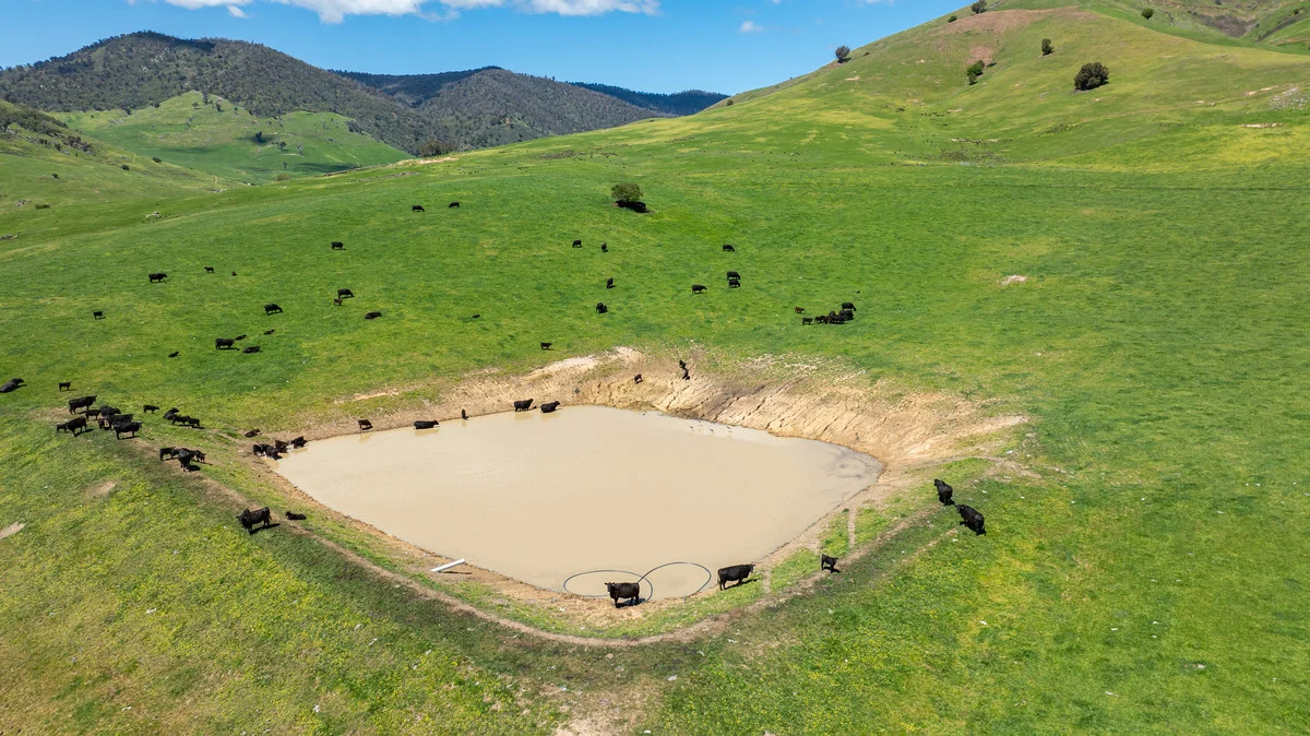 Additional image 18 of 3465 Murray Valley Highway, Berringama VIC 3691