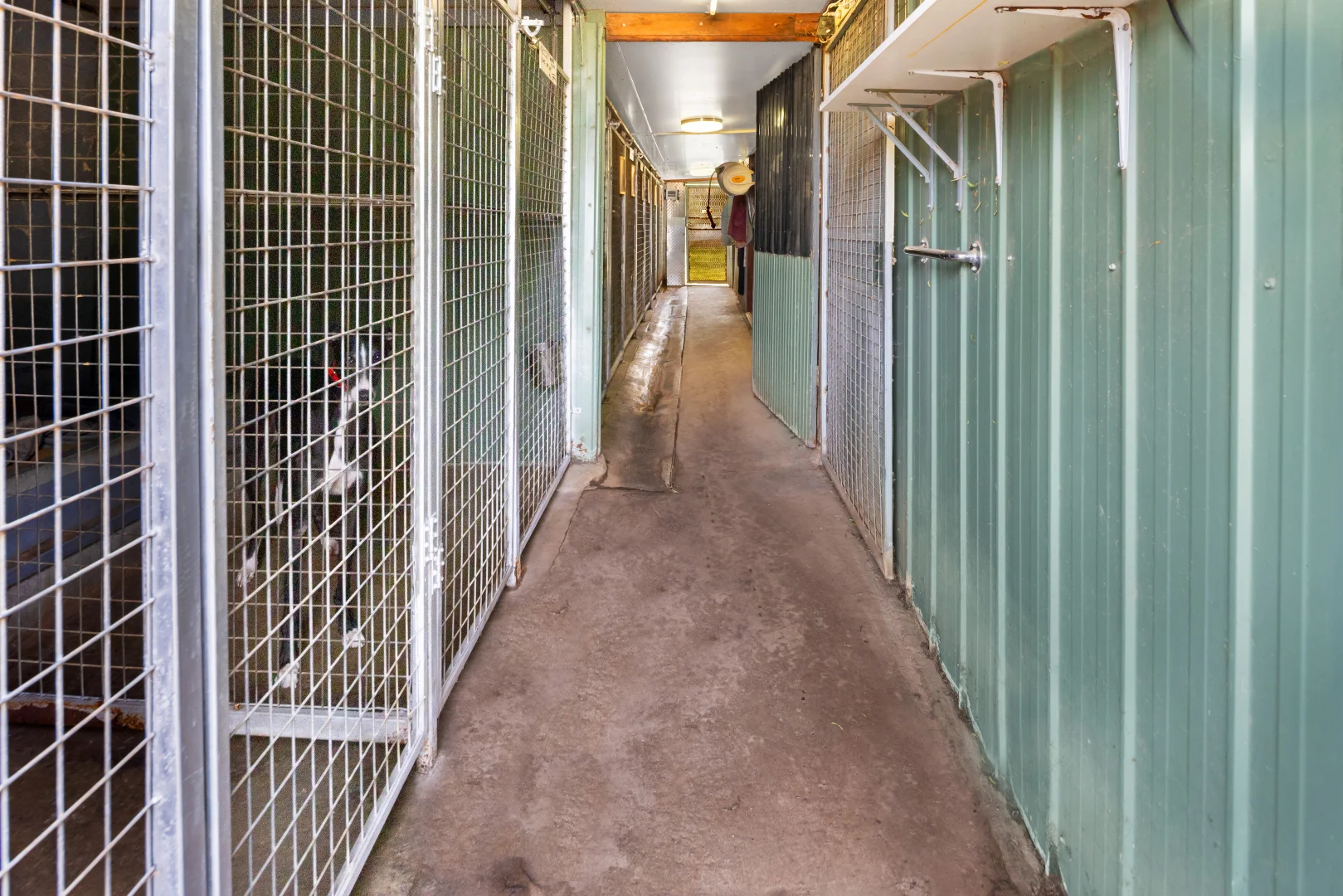 Additional image 9 of 487 Sunraysia Highway, Avoca VIC 3467