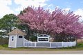 Additional image 40 of 1001 Marina Dr Apt 301, Quincy, MA, 02171