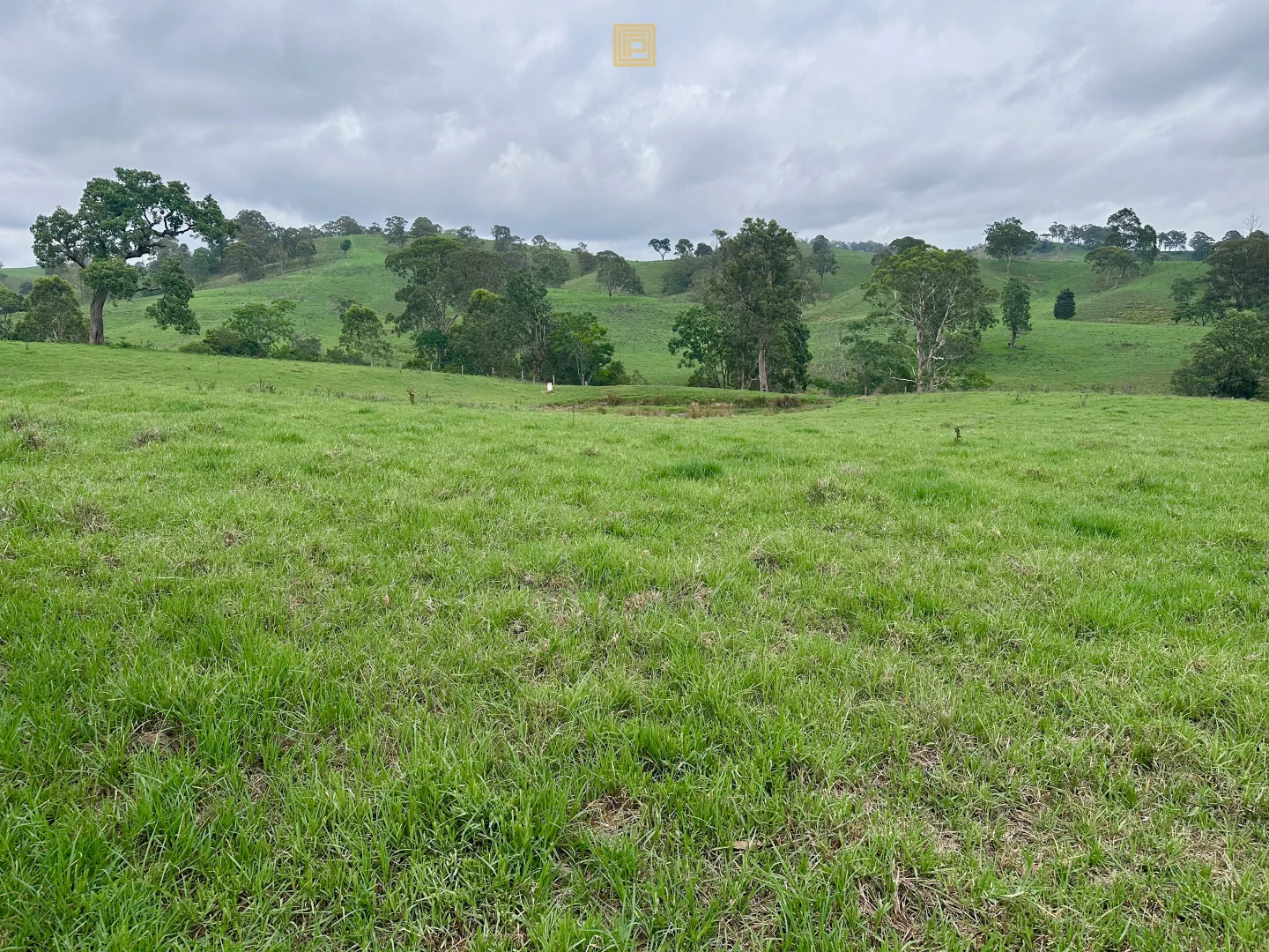 Additional image 12 of 84 Wallanbah Road, Gloucester NSW 2422
