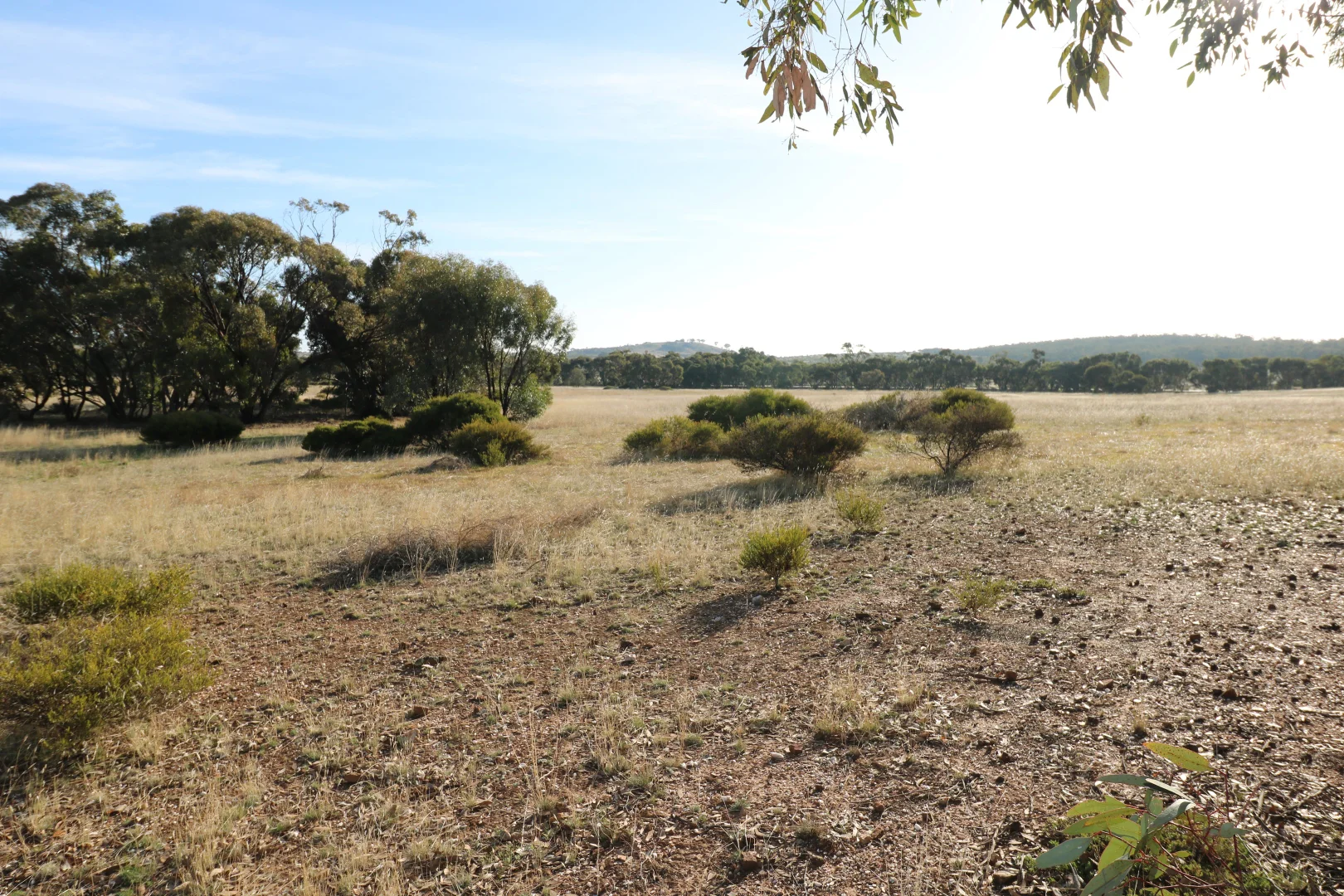 Additional image 22 of 84A Woolshed Flat Road, Wychitella VIC 3525
