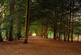 Additional image 15 of Mewstone at Silkin Meadows Queensway, Apley, Telford TF1