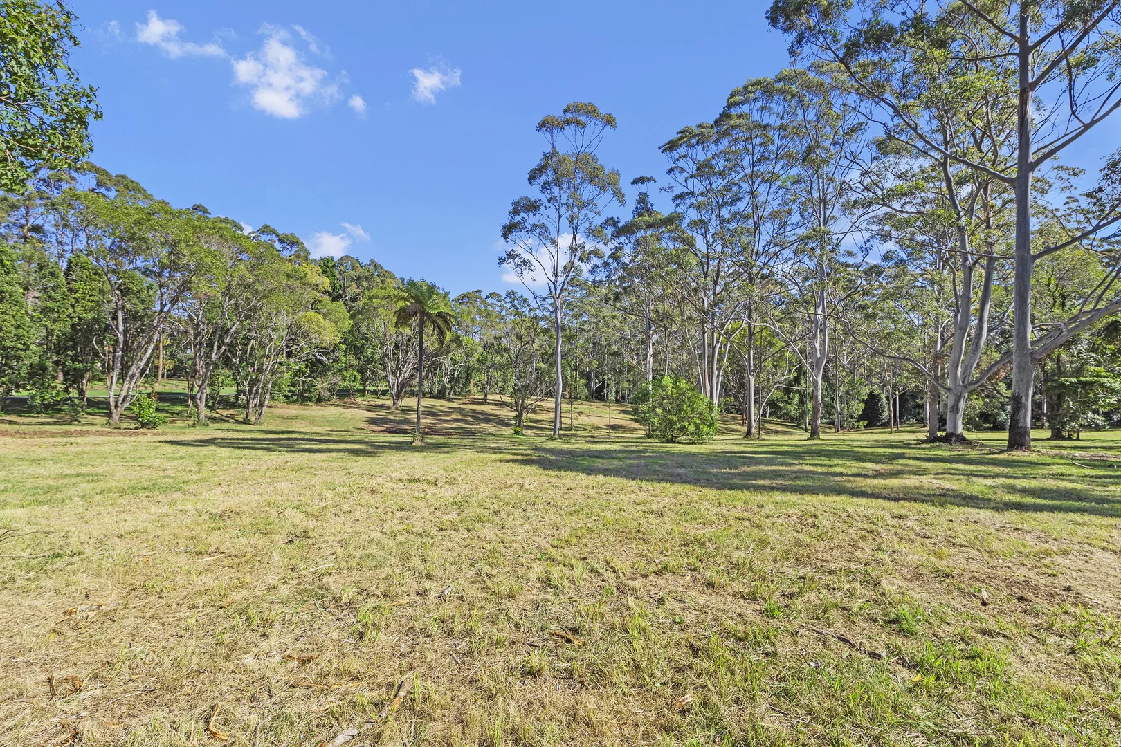 Additional image 12 of 28a Geissmann Street, Tamborine Mountain QLD 4272