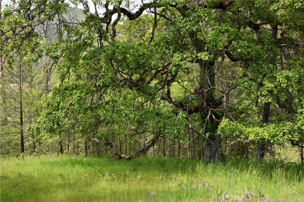 Additional image 19 of 30834 State Hwy 96, Horse Creek, CA 96050