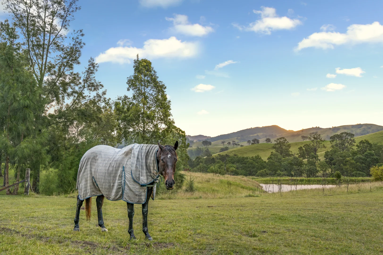 Additional image 25 of 'Tangory' 1786 Glendonbrook Road, Glendon Brook NSW 2330