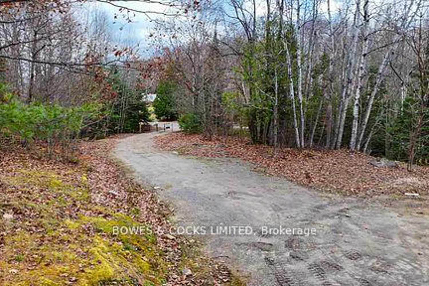 Additional image 12 of 154 Little Ireland Road